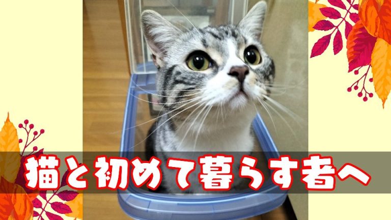 猫と初めて暮らす人に読んでもらいたい記事の表紙