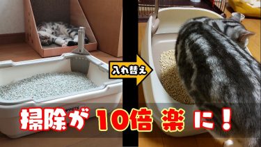 システムトイレ『デオトイレ』に変えたら掃除が楽になった！