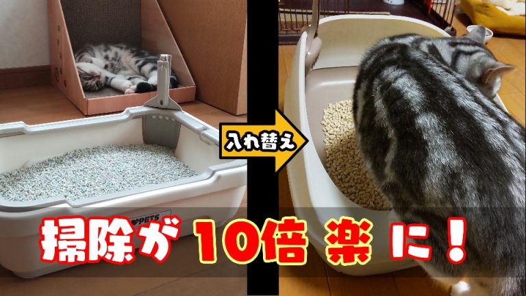 システムトイレ『デオトイレ』に変えたら掃除が楽になった！